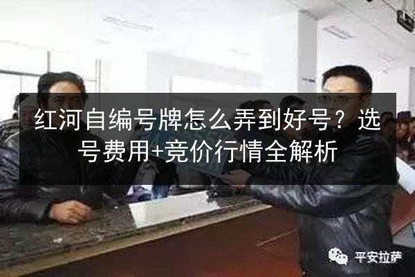 红河自编号牌怎么弄到好号？选号费用+竞价行情全解析 第2张