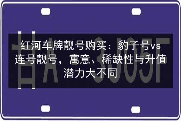 红河车牌靓号购买：豹子号vs连号靓号，寓意、稀缺性与升值潜力大不同 第2张