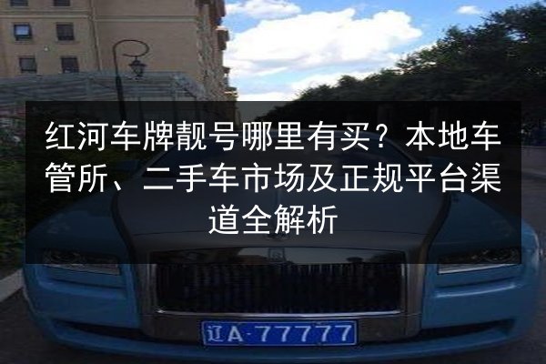 红河车牌靓号哪里有买？本地车管所、二手车市场及正规平台渠道全解析 第2张