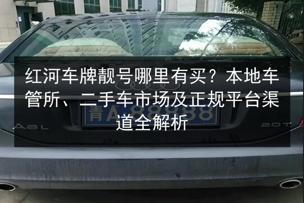红河车牌靓号哪里有买？本地车管所、二手车市场及正规平台渠道全解析 第3张