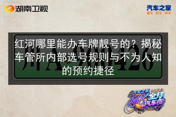 红河哪里能办车牌靓号的?揭秘车管所内部选号规则与不为人知的预约捷径 第3张 红河哪里能办车牌靓号的?揭秘车管所内部选号规则与不为人知的预约捷径 第3张