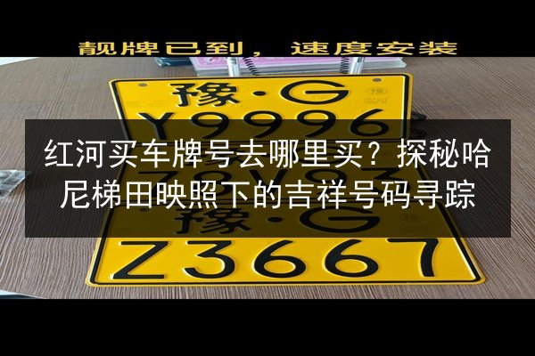 红河买车牌号去哪里买？探秘哈尼梯田映照下的吉祥号码寻踪 第2张