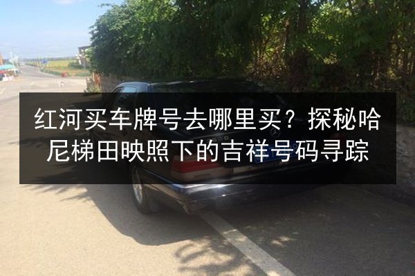 红河买车牌号去哪里买？探秘哈尼梯田映照下的吉祥号码寻踪 第3张