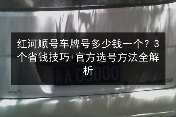红河顺号车牌号多少钱一个?3个省钱技巧+官方选号方法全解析 第3张 红河顺号车牌号多少钱一个?3个省钱技巧+官方选号方法全解析 第3张