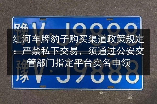 红河车牌豹子购买渠道政策规定:严禁私下交易,须通过公安交管部门指定平台实名申领 第3张 红河车牌豹子购买渠道政策规定:严禁私下交易,须通过公安交管部门指定平台实名申领 第3张