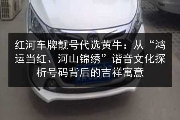 红河车牌靓号代选黄牛:从“鸿运当红、河山锦绣”谐音文化探析号码背后的吉祥寓意 第2张 红河车牌靓号代选黄牛:从“鸿运当红、河山锦绣”谐音文化探析号码背后的吉祥寓意 第2张
