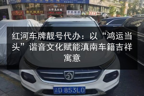 红河车牌靓号代办:以“鸿运当头”谐音文化赋能滇南车籍吉祥寓意 第3张 红河车牌靓号代办:以“鸿运当头”谐音文化赋能滇南车籍吉祥寓意 第3张