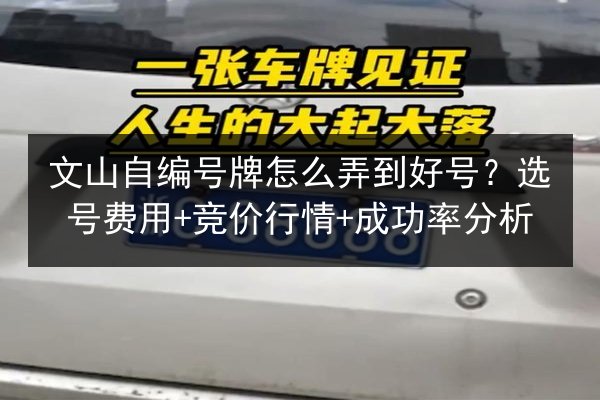 文山自编号牌怎么弄到好号?选号费用+竞价行情+成功率分析 第2张 文山自编号牌怎么弄到好号?选号费用+竞价行情+成功率分析 第2张