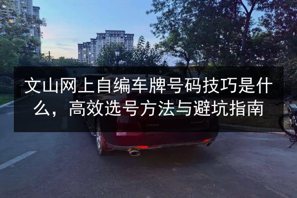 文山网上自编车牌号码技巧是什么，高效选号方法与避坑指南 第2张