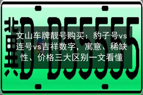 文山车牌靓号购买:豹子号vs连号vs吉祥数字,寓意、稀缺性、价格三大区别一文看懂 第3张 文山车牌靓号购买:豹子号vs连号vs吉祥数字,寓意、稀缺性、价格三大区别一文看懂 第3张