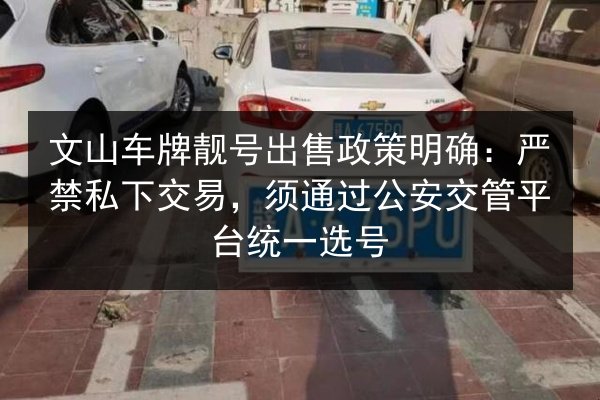 文山车牌靓号出售政策明确：严禁私下交易，须通过公安交管平台统一选号 第2张