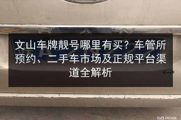 文山车牌靓号哪里有买？车管所预约、二手车市场及正规平台渠道全解析 第2张