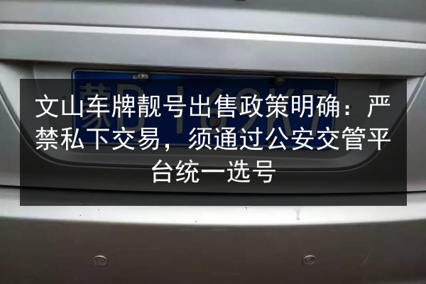文山车牌靓号出售政策明确：严禁私下交易，须通过公安交管平台统一选号 第3张
