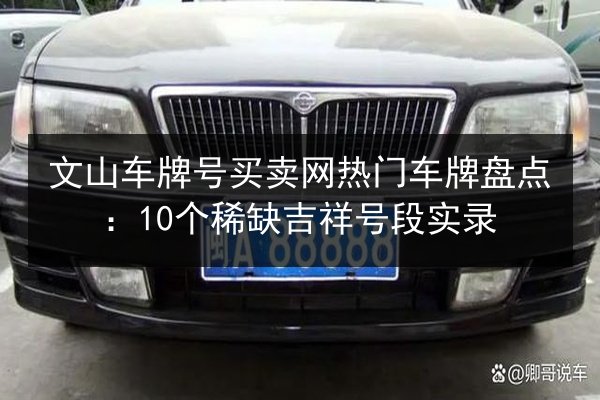 文山车牌号买卖网热门车牌盘点：10个稀缺吉祥号段实录 第2张