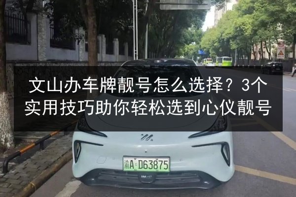 文山办车牌靓号怎么选择?3个实用技巧助你轻松选到心仪靓号 第2张 文山办车牌靓号怎么选择?3个实用技巧助你轻松选到心仪靓号 第2张
