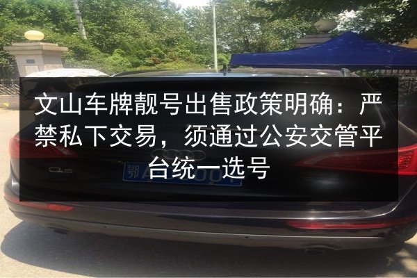 文山车牌靓号出售政策明确：严禁私下交易，须通过公安交管平台统一选号 第4张