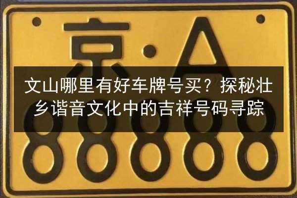文山哪里有好车牌号买?探秘壮乡谐音文化中的吉祥号码寻踪 第1张 文山哪里有好车牌号买?探秘壮乡谐音文化中的吉祥号码寻踪 第1张