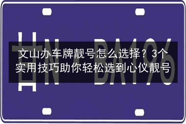 文山办车牌靓号怎么选择?3个实用技巧助你轻松选到心仪靓号 第3张 文山办车牌靓号怎么选择?3个实用技巧助你轻松选到心仪靓号 第3张