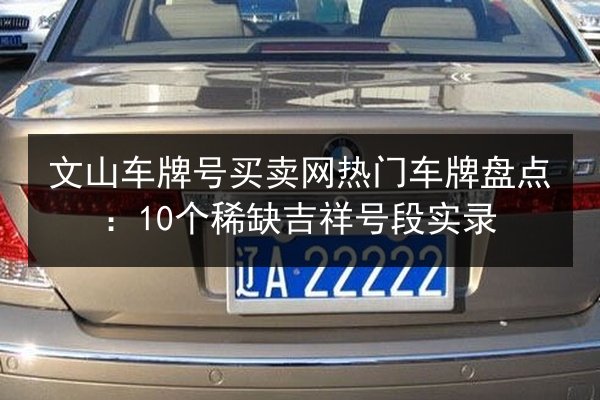 文山车牌号买卖网热门车牌盘点：10个稀缺吉祥号段实录 第3张