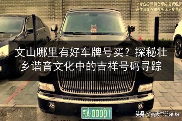 文山哪里有好车牌号买?探秘壮乡谐音文化中的吉祥号码寻踪 第2张 文山哪里有好车牌号买?探秘壮乡谐音文化中的吉祥号码寻踪 第2张