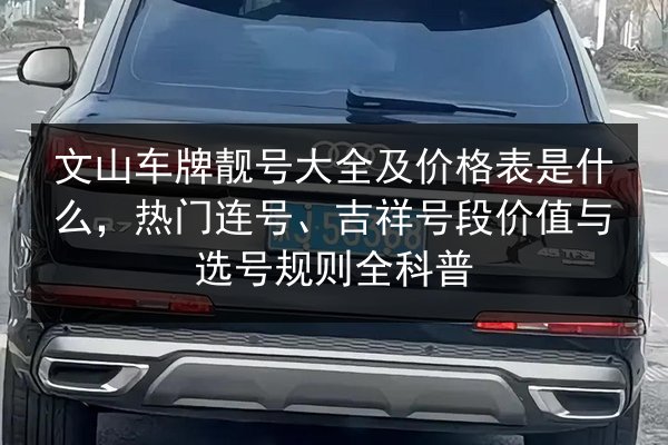 文山车牌靓号大全及价格表是什么,热门连号、吉祥号段价值与选号规则全科普 第1张 文山车牌靓号大全及价格表是什么,热门连号、吉祥号段价值与选号规则全科普 第1张