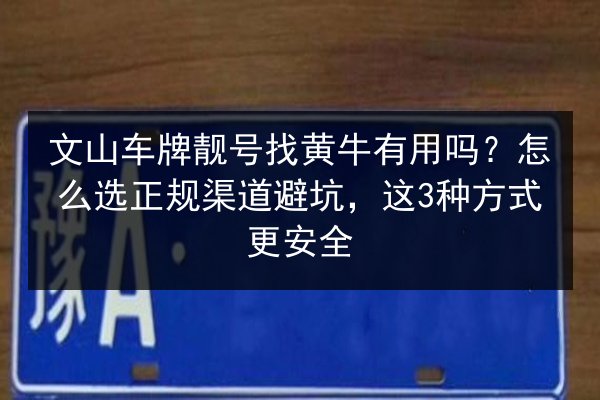 文山车牌靓号找黄牛有用吗？怎么选正规渠道避坑，这3种方式更安全