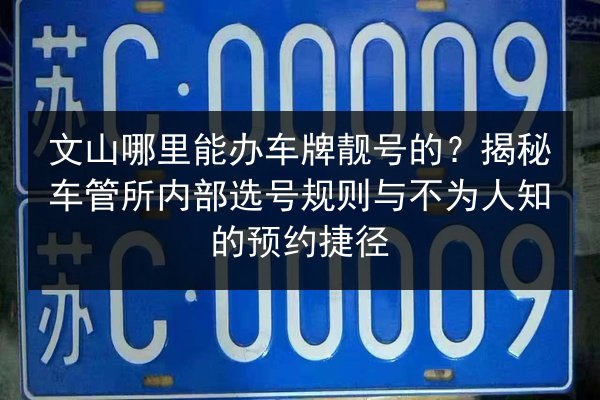 文山哪里能办车牌靓号的？揭秘车管所内部选号规则与不为人知的预约捷径 第2张