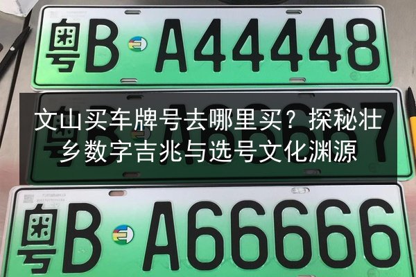 文山买车牌号去哪里买?探秘壮乡数字吉兆与选号文化渊源 第2张 文山买车牌号去哪里买?探秘壮乡数字吉兆与选号文化渊源 第2张