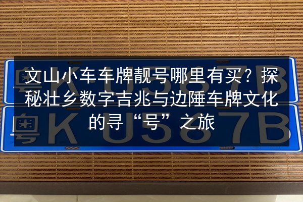 文山小车车牌靓号哪里有买？探秘壮乡数字吉兆与边陲车牌文化的寻“号”之旅 第2张