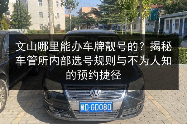 文山哪里能办车牌靓号的？揭秘车管所内部选号规则与不为人知的预约捷径 第3张