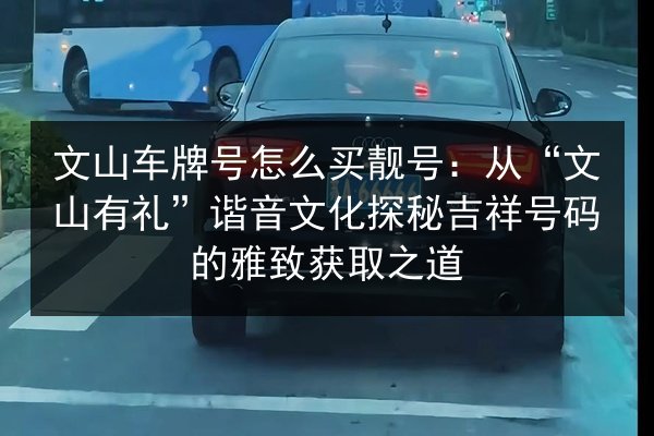 文山车牌号怎么买靓号：从“文山有礼”谐音文化探秘吉祥号码的雅致获取之道 第2张