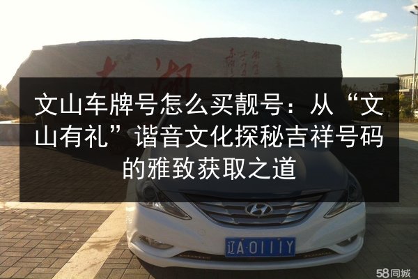 文山车牌号怎么买靓号：从“文山有礼”谐音文化探秘吉祥号码的雅致获取之道 第3张