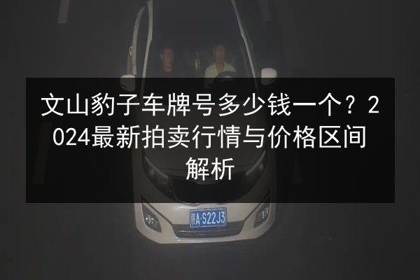 文山豹子车牌号多少钱一个？2024最新拍卖行情与价格区间解析 第2张