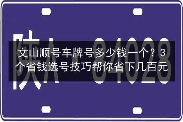 文山顺号车牌号多少钱一个？3个省钱选号技巧帮你省下几百元 第1张