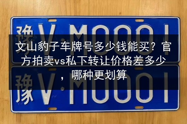 文山豹子车牌号多少钱能买？官方拍卖vs私下转让价格差多少，哪种更划算 第2张
