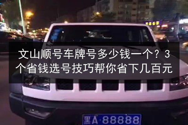 文山顺号车牌号多少钱一个？3个省钱选号技巧帮你省下几百元 第2张