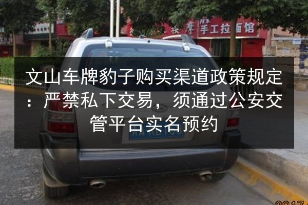 文山车牌豹子购买渠道政策规定：严禁私下交易，须通过公安交管平台实名预约 第2张