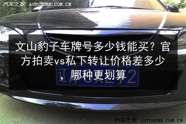 文山豹子车牌号多少钱能买？官方拍卖vs私下转让价格差多少，哪种更划算 第3张