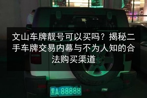 文山车牌靓号可以买吗?揭秘二手车牌交易内幕与不为人知的合法购买渠道 第2张 文山车牌靓号可以买吗?揭秘二手车牌交易内幕与不为人知的合法购买渠道 第2张