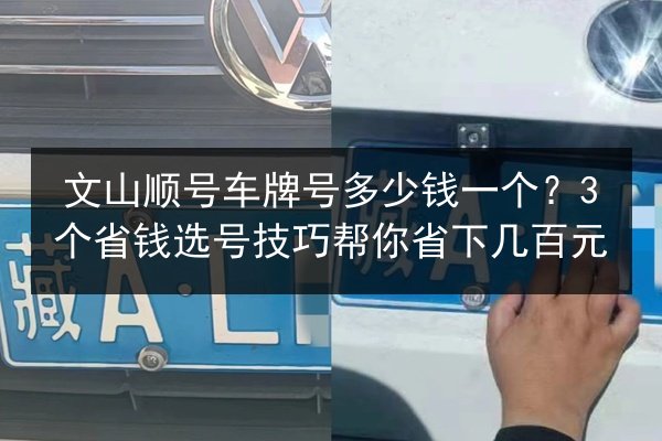 文山顺号车牌号多少钱一个？3个省钱选号技巧帮你省下几百元 第3张