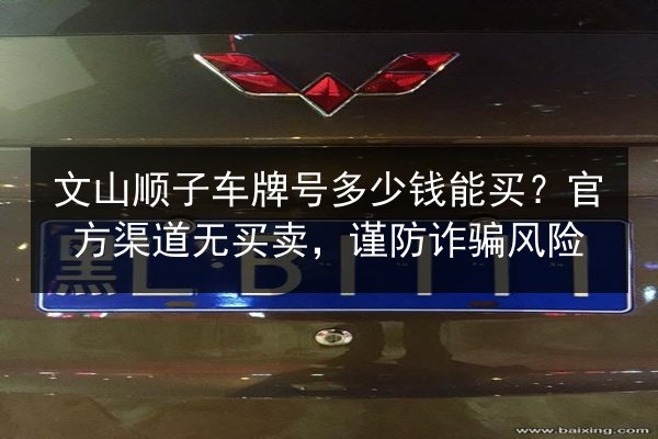 文山顺子车牌号多少钱能买?官方渠道无买卖,谨防诈骗风险 第2张 文山顺子车牌号多少钱能买?官方渠道无买卖,谨防诈骗风险 第2张
