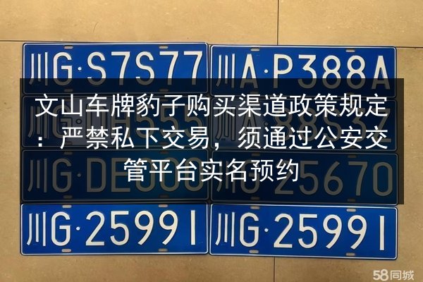 文山车牌豹子购买渠道政策规定：严禁私下交易，须通过公安交管平台实名预约 第3张
