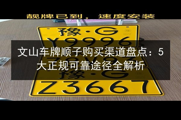 文山车牌顺子购买渠道盘点:5大正规可靠途径全解析 第2张 文山车牌顺子购买渠道盘点:5大正规可靠途径全解析 第2张