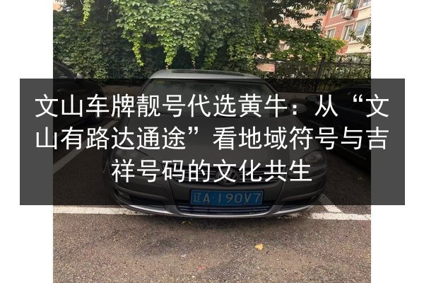 文山车牌靓号代选黄牛:从“文山有路达通途”看地域符号与吉祥号码的文化共生 第2张 文山车牌靓号代选黄牛:从“文山有路达通途”看地域符号与吉祥号码的文化共生 第2张