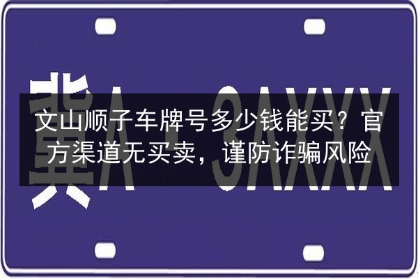 文山顺子车牌号多少钱能买?官方渠道无买卖,谨防诈骗风险 第3张 文山顺子车牌号多少钱能买?官方渠道无买卖,谨防诈骗风险 第3张