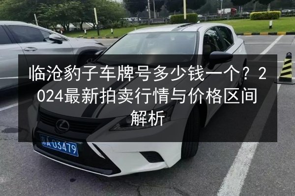 临沧豹子车牌号多少钱一个？2024最新拍卖行情与价格区间解析 第2张