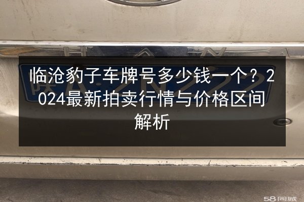 临沧豹子车牌号多少钱一个？2024最新拍卖行情与价格区间解析 第3张