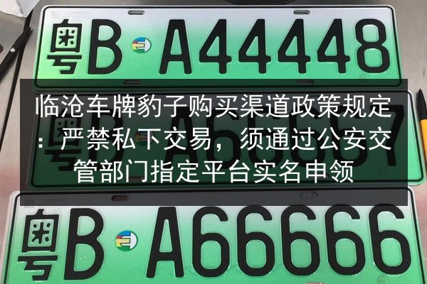 临沧车牌豹子购买渠道政策规定：严禁私下交易，须通过公安交管部门指定平台实名申领 第3张