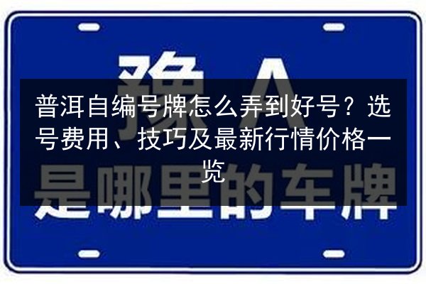 普洱自编号牌怎么弄到好号？选号费用、技巧及最新行情价格一览 第2张
