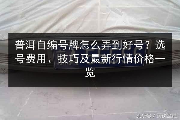 普洱自编号牌怎么弄到好号？选号费用、技巧及最新行情价格一览 第3张
